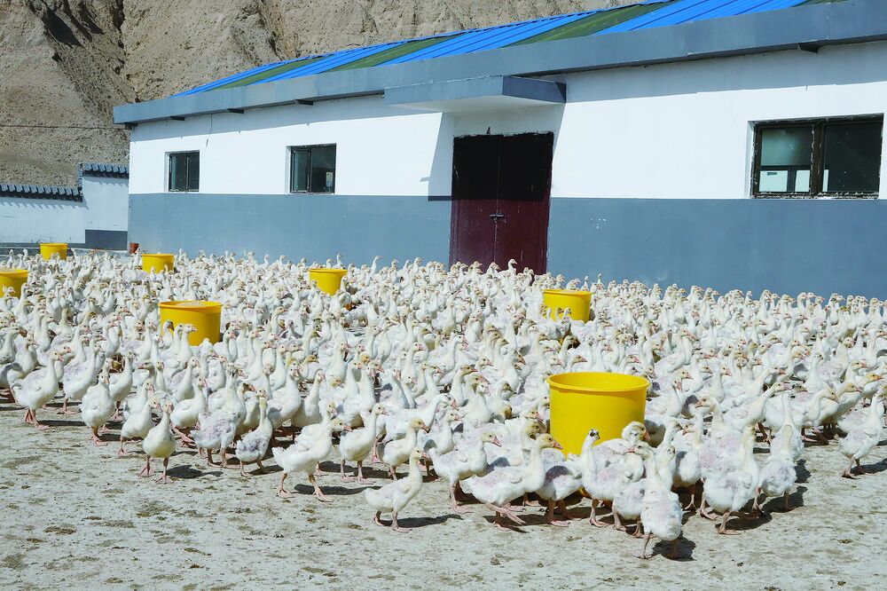 QQ�DƬ20240410061256