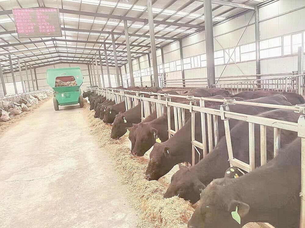 QQ�DƬ20240410064401