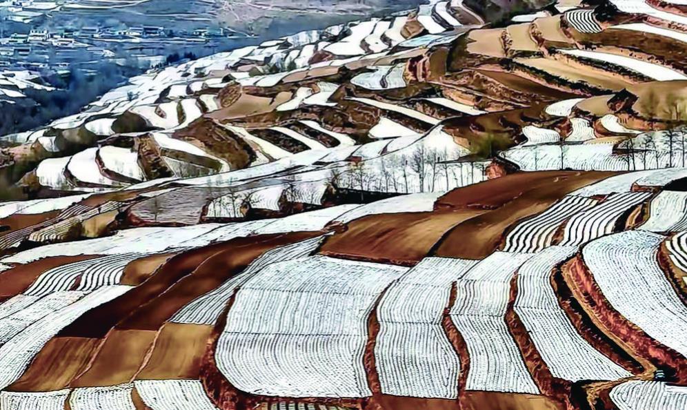 青海互助:春雪“妝扮”最美梯田