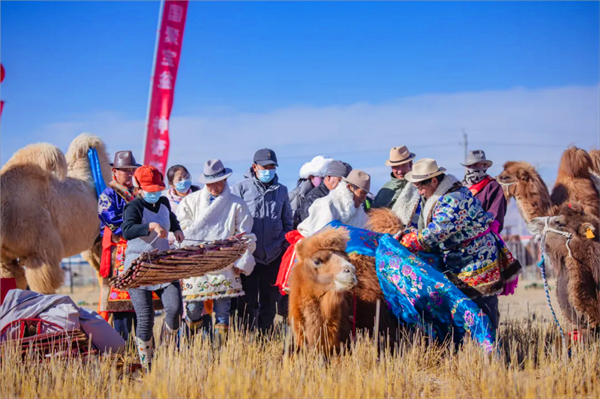 ΢�ňDƬ_20240411120245