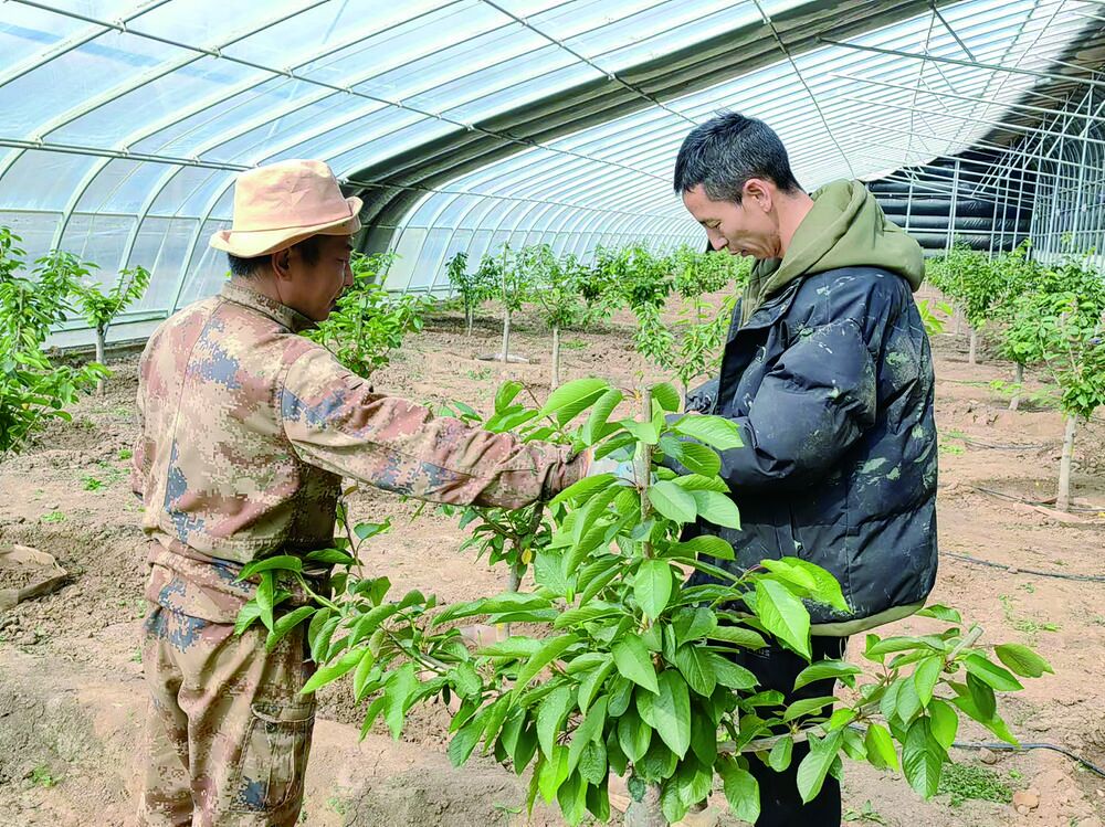 QQ�DƬ20240412055330