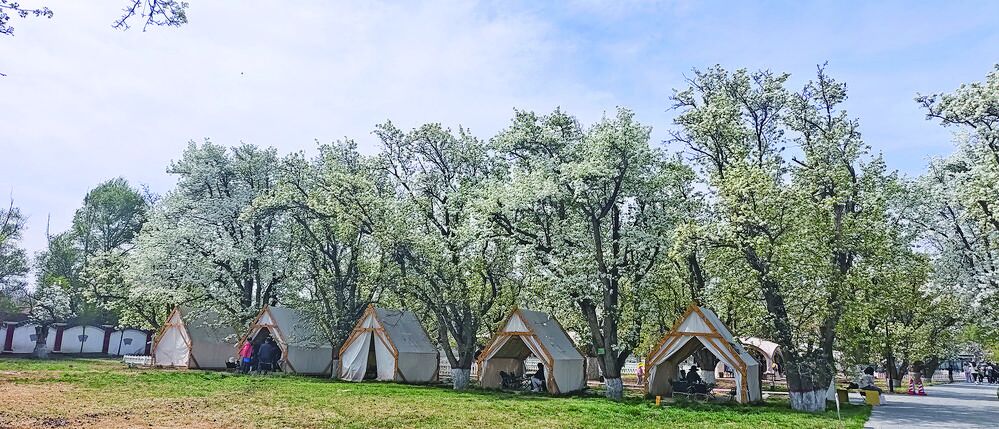 QQ�DƬ20240416061240