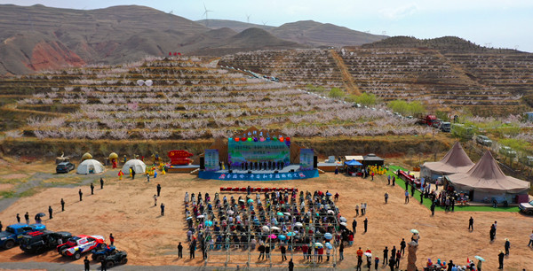 ΢�ňDƬ_20240417174709