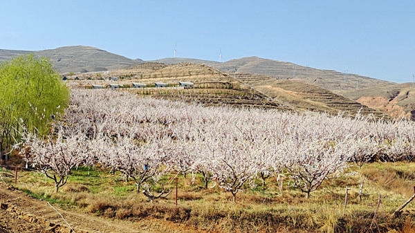 ΢�ňDƬ_20240417174538