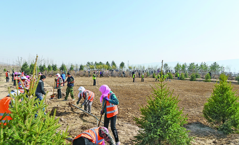 QQ�DƬ20240418053707