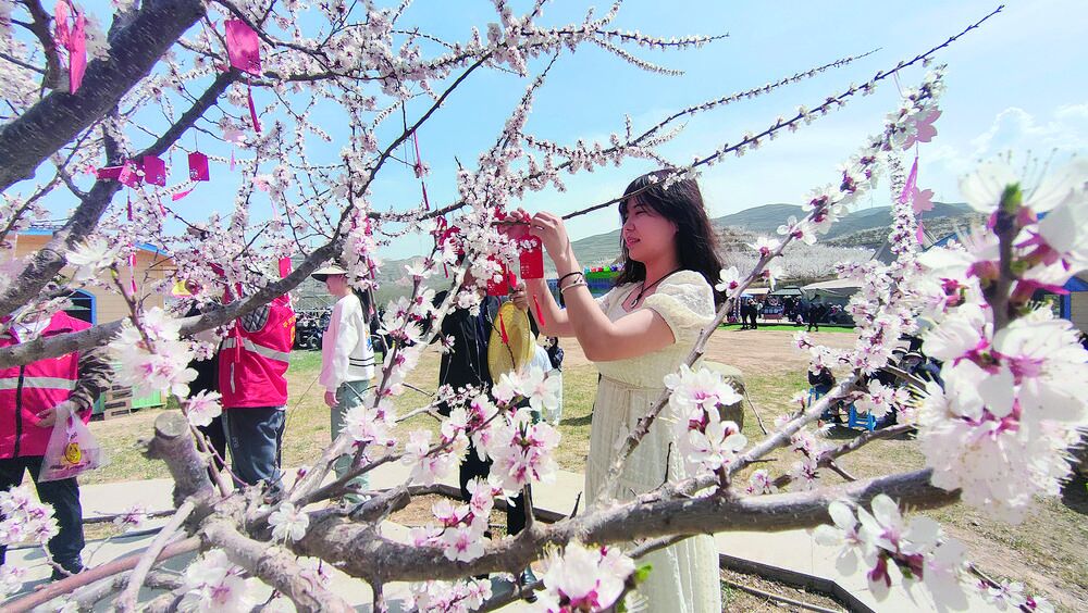 ƽ�����Ӹ��X���ӻ��Ļ������܆���(d��ng)