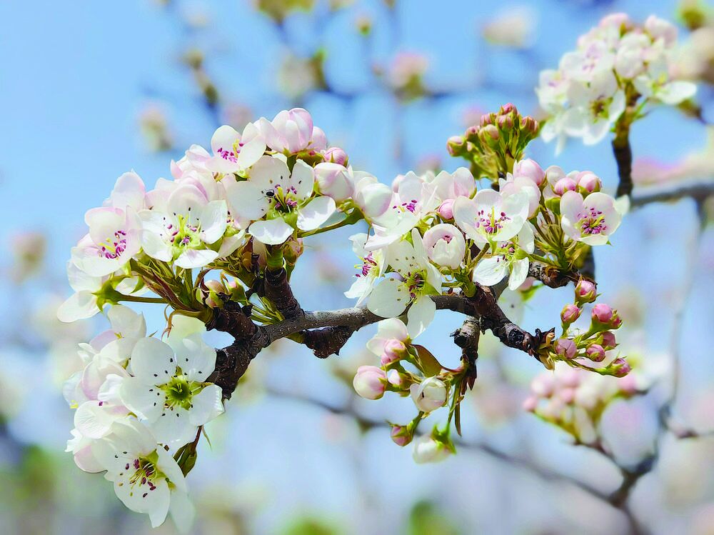 ����(j��ng)��(j��)�۽������p����(j��ng)��(j��)�������ԭ���á���ˮ��