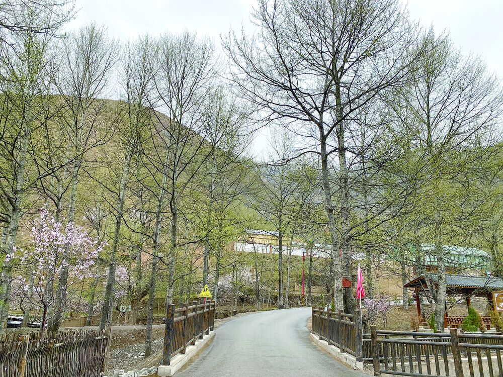 【祖國好 家鄉(xiāng)美】杏花疏影間傳唱團結佳話