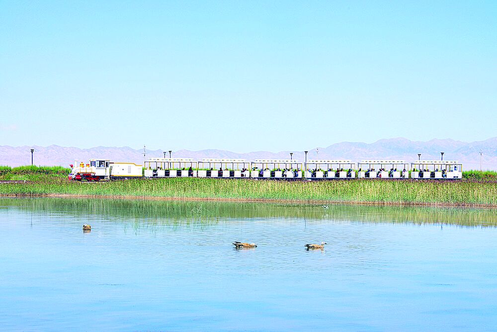 QQ�DƬ20240424061927