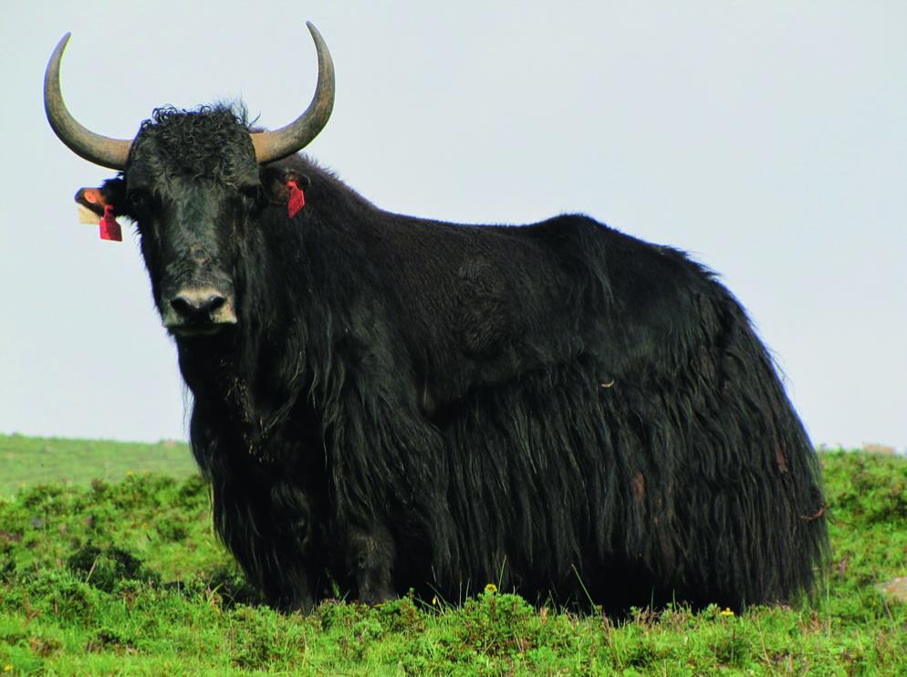 360�؈D20240425064443944