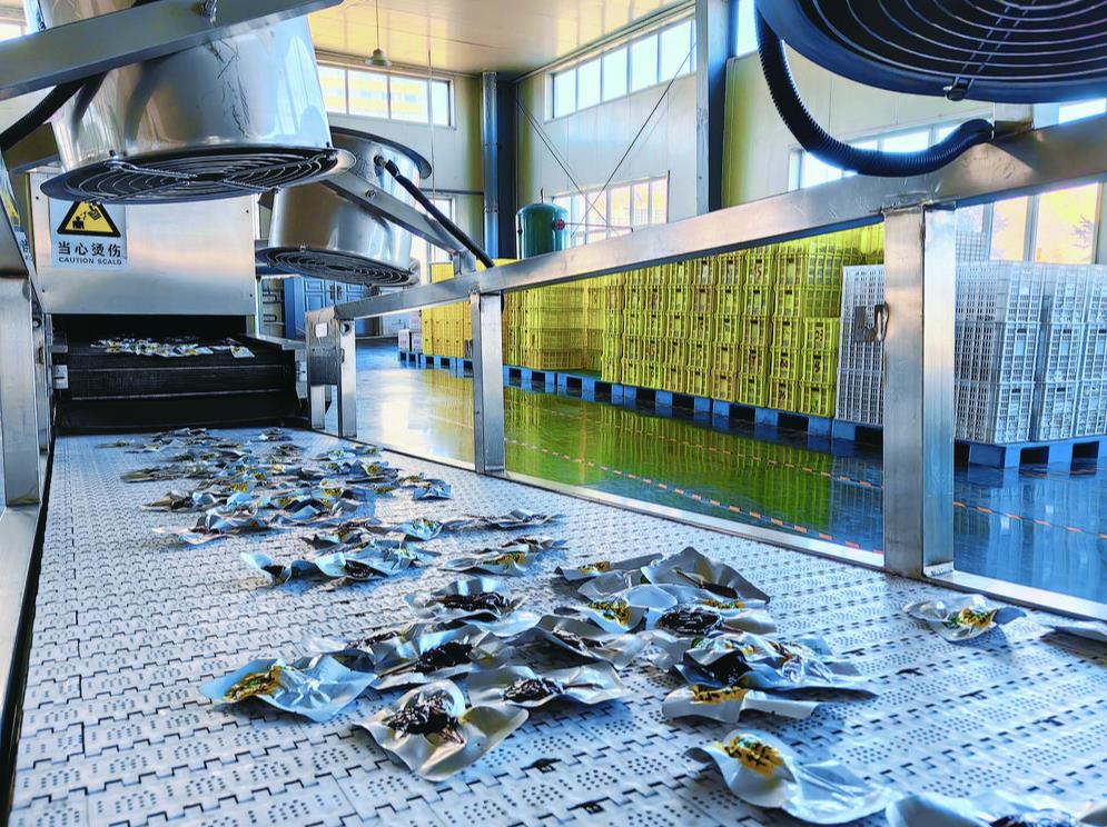 360�؈D20240425064503464