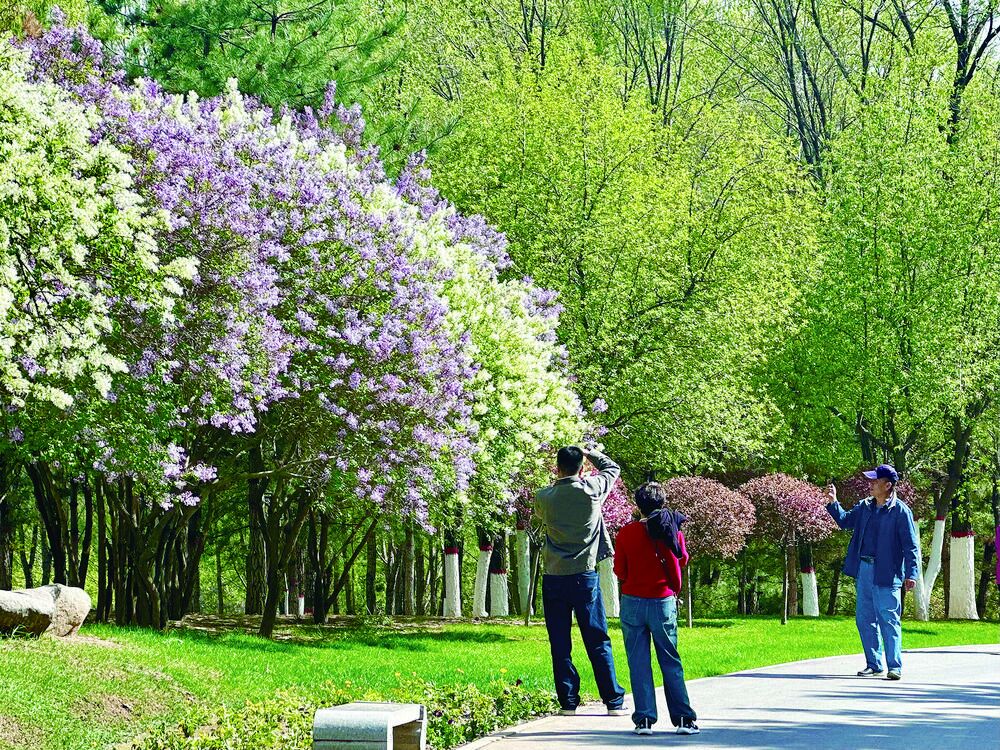 QQ�DƬ20240429055947