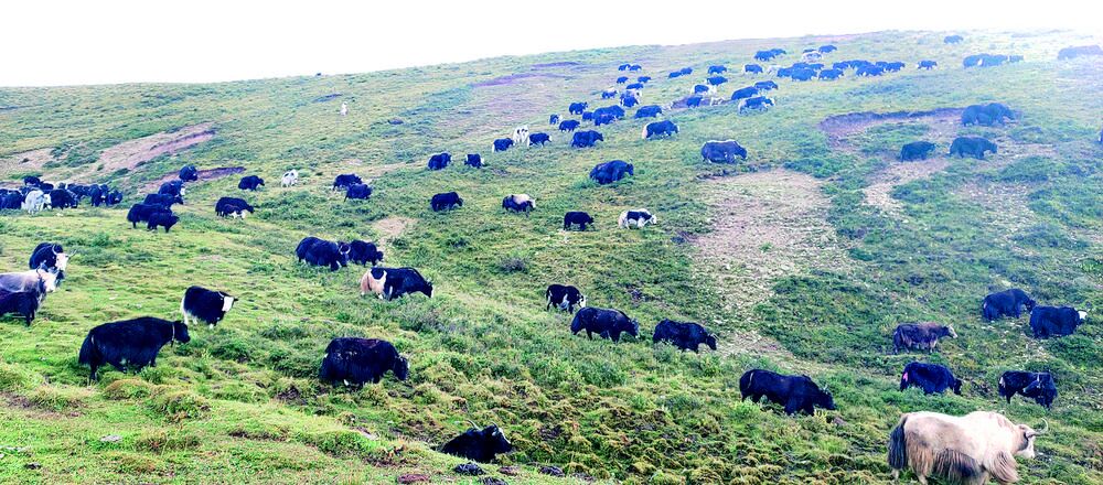 QQ�DƬ20240429061203