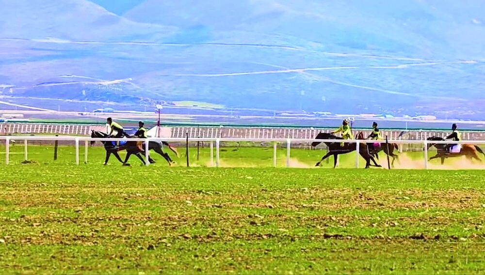 QQ�DƬ20240501062734