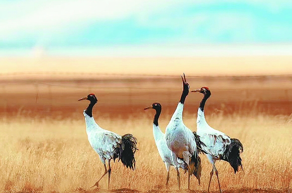 ΢�Ž؈D_20240503061242