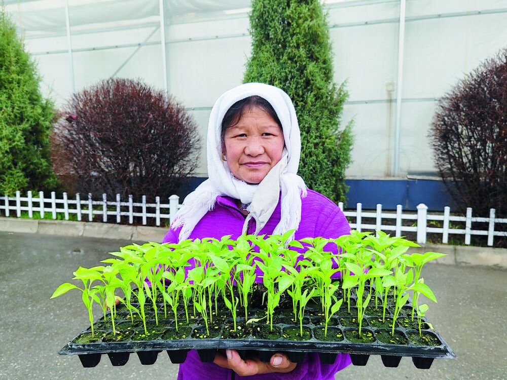 QQ�DƬ20240508060338