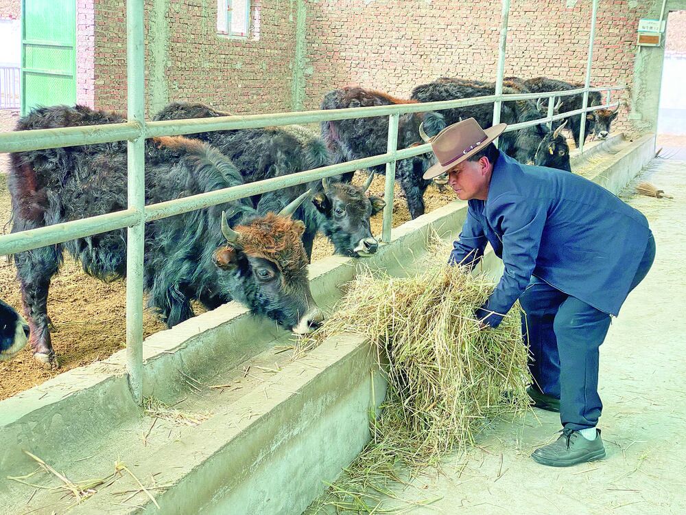 QQ�DƬ20240515061516