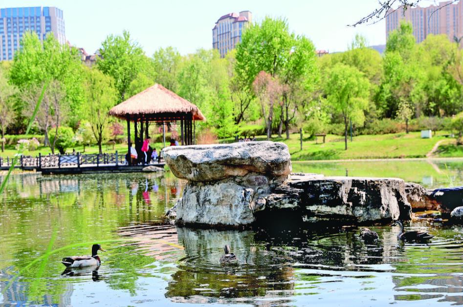 ��ع��@���B��