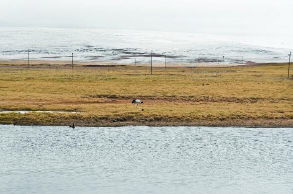 �����R�����i�Q����D����ԭ��ء�������