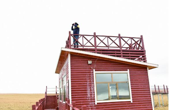 QQ截圖20240520063340