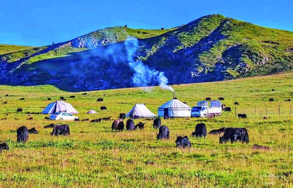 QQ�؈D20240520063730