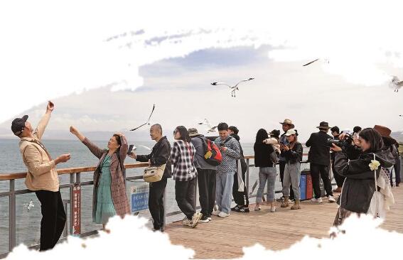 QQ�؈D20240520070223