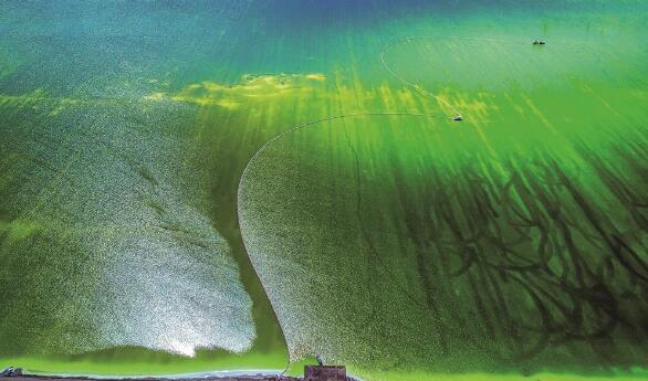 ������� ���l(xi��ng)������ľ������Ԋ�⹲�h��