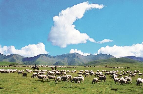 ������� ���l(xi��ng)�����쾳���B ����ɽ�^