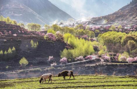 QQ�؈D20240520072034