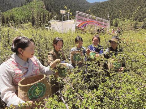 QQ�؈D20240520072444