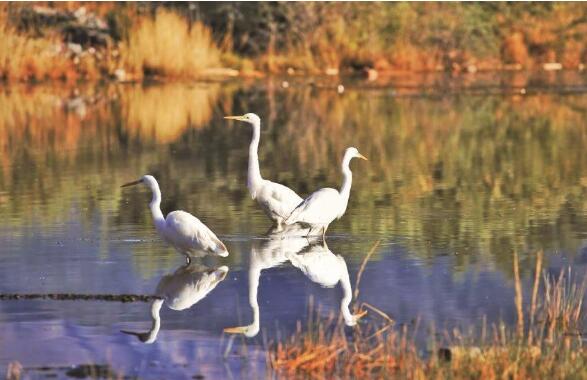 QQ�؈D20240520072755