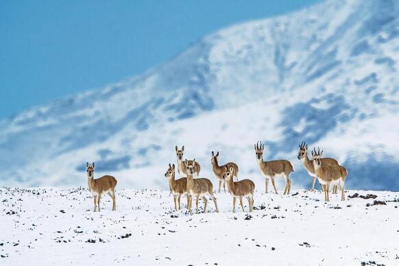 QQ�؈D20240520073038