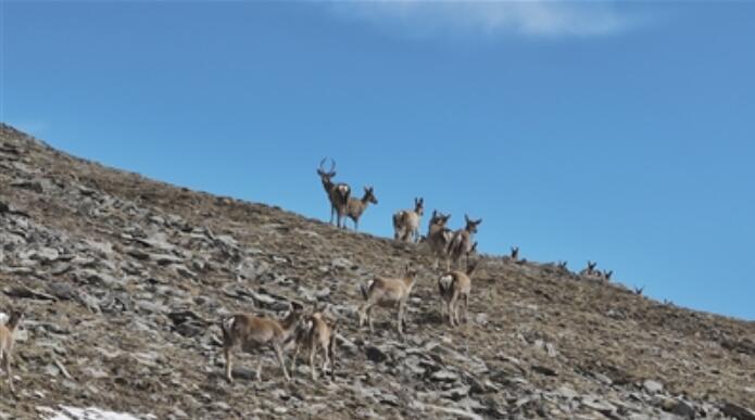 ���^����80ֻ����¹ɽ������