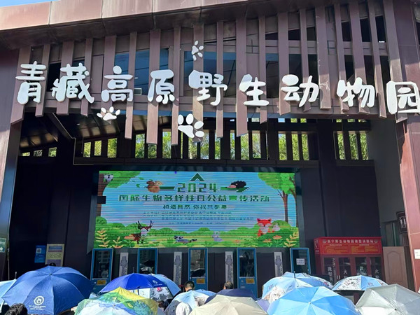 ΢�ňDƬ_20240522173746