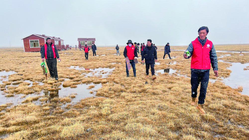 QQ�DƬ20240527055753