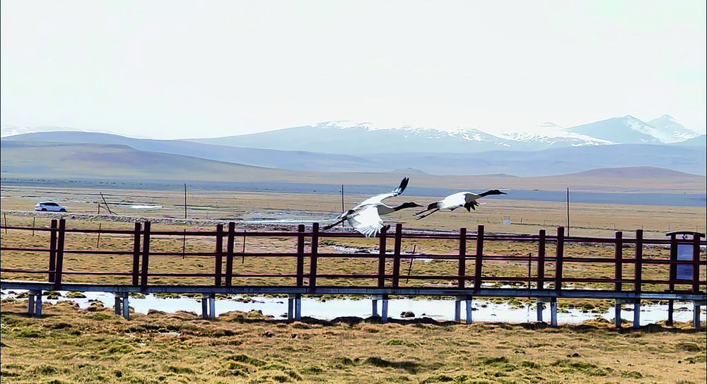 QQ�DƬ20240527055732