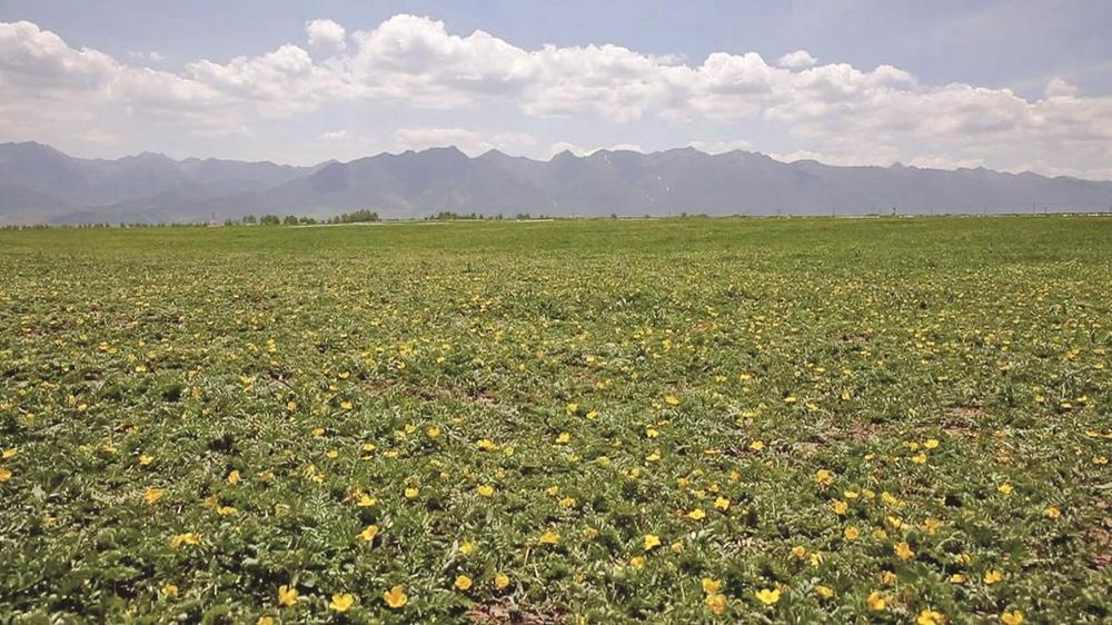 QQ�DƬ20240527062214