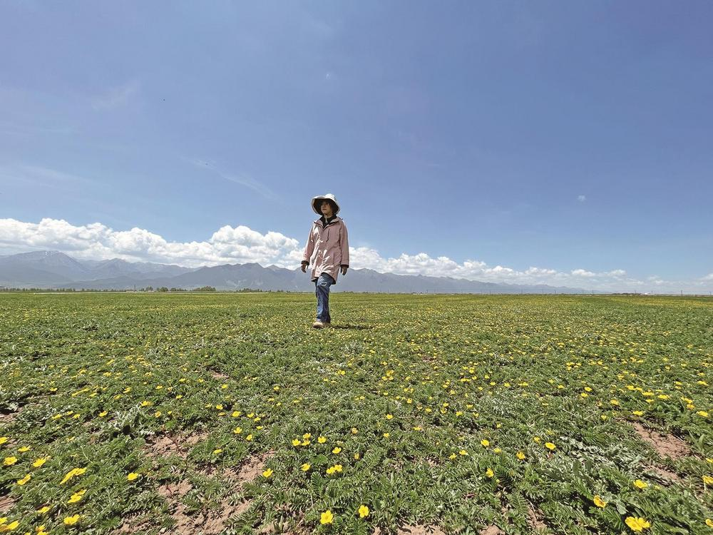 QQ�DƬ20240527062616