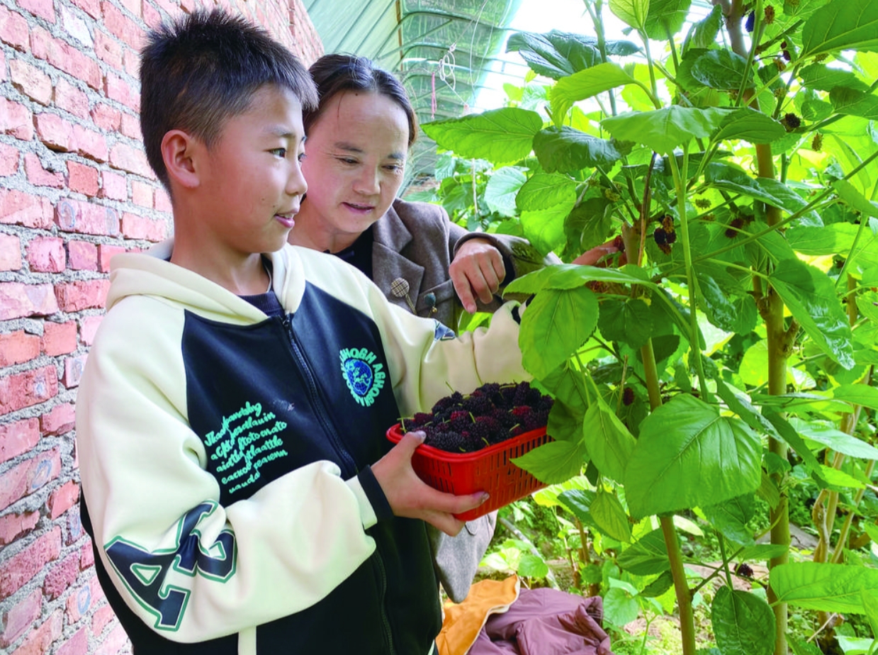 ΢�Ž؈D_20240603063105