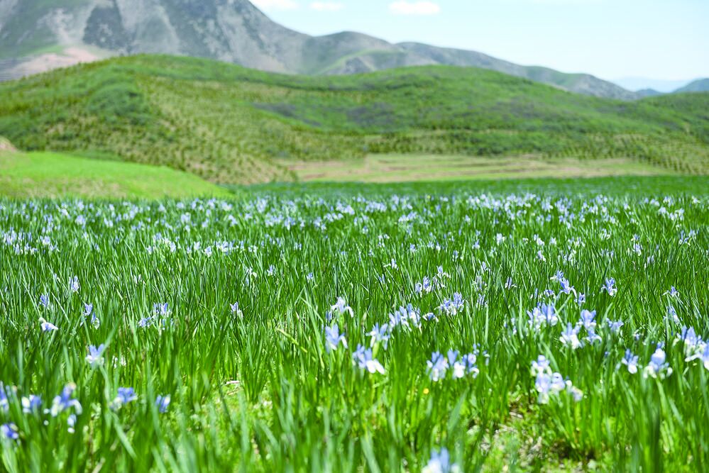 ���r�� ������ ���I�����|���lչ�{���С����ˡ��Gˮ��ɽ ��ٍ����ɽ�yɽ�������조�Gˮ��ɽ���ǽ�ɽ�yɽ���Č��`�Ӱ�ϵ���{��֮��