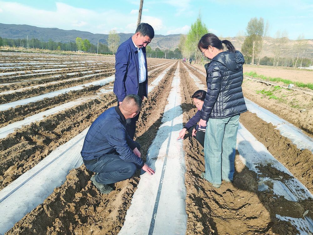 QQ�DƬ20240613061838