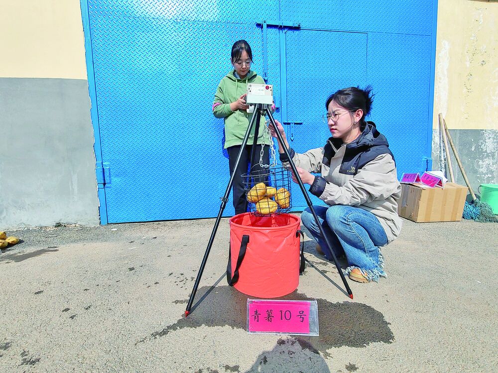 QQ�DƬ20240613061846