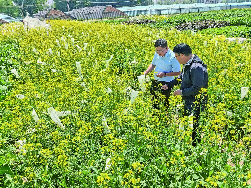 QQ�DƬ20240613062357