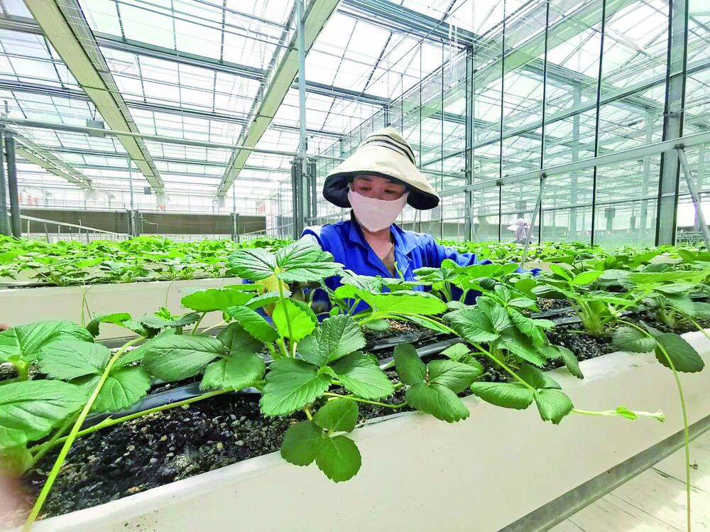 QQ�DƬ20240615065037