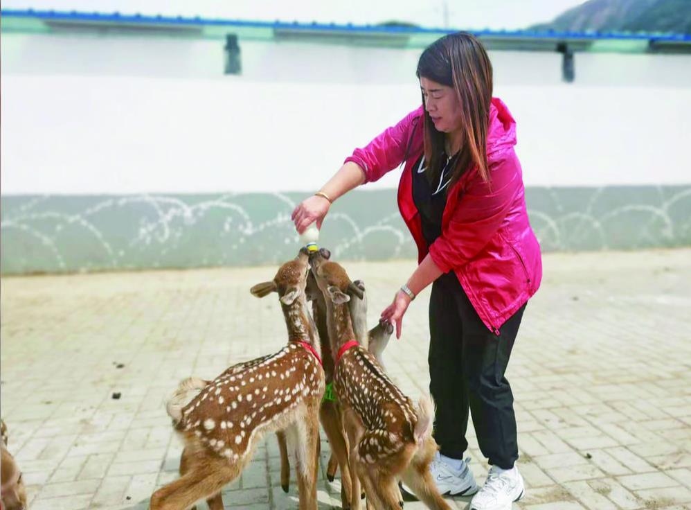 ���h���ڻ���һ���߸��h�P���h���xӳ������ ���ɺV����һ�����ຣ���У�����Ⱥ�� �������h