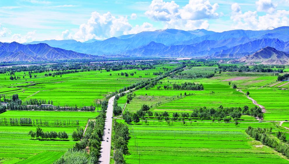 青海都蘭:深化“路長制” 當好“路管家”