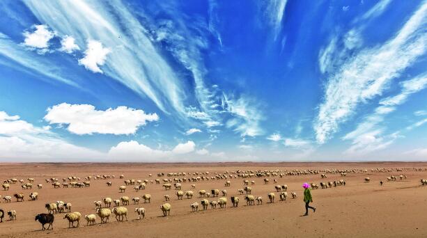 QQ�؈D20240617062533