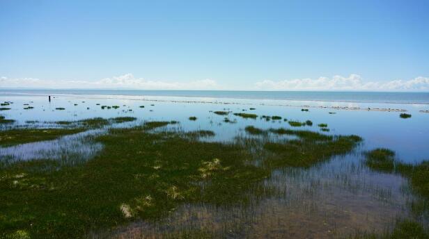 ����ӛ���� ���ɺV�С����f�ຣ��׃��