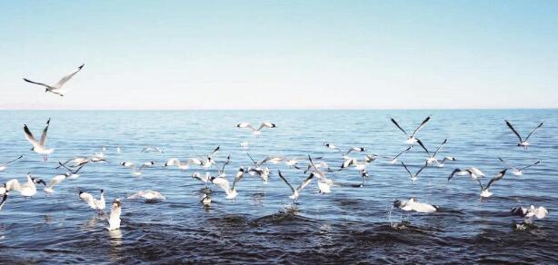 QQ截圖20240617064642