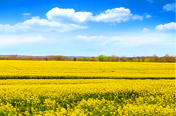 QQ�؈D20240620161212_����